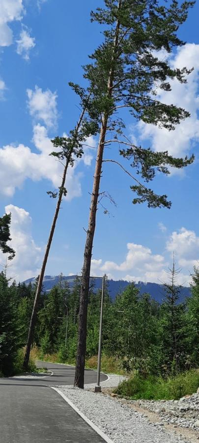 Villa Dom Na Groniu Kościelisko Esterno foto